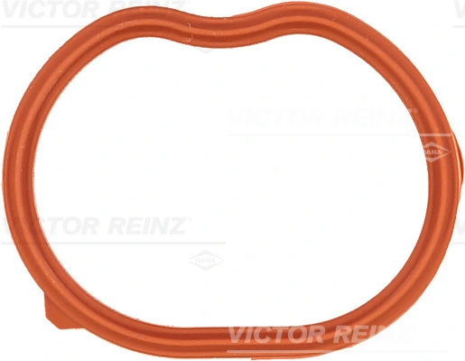 Gasket, intake manifold